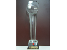 我司获评力迅地产“2012年度最佳合作奖”